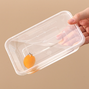 Food Grade PP Plastic Food Box with lid